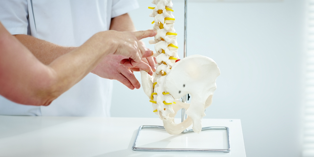 4 Reasons To See A Chiropractor Besides Back Pain