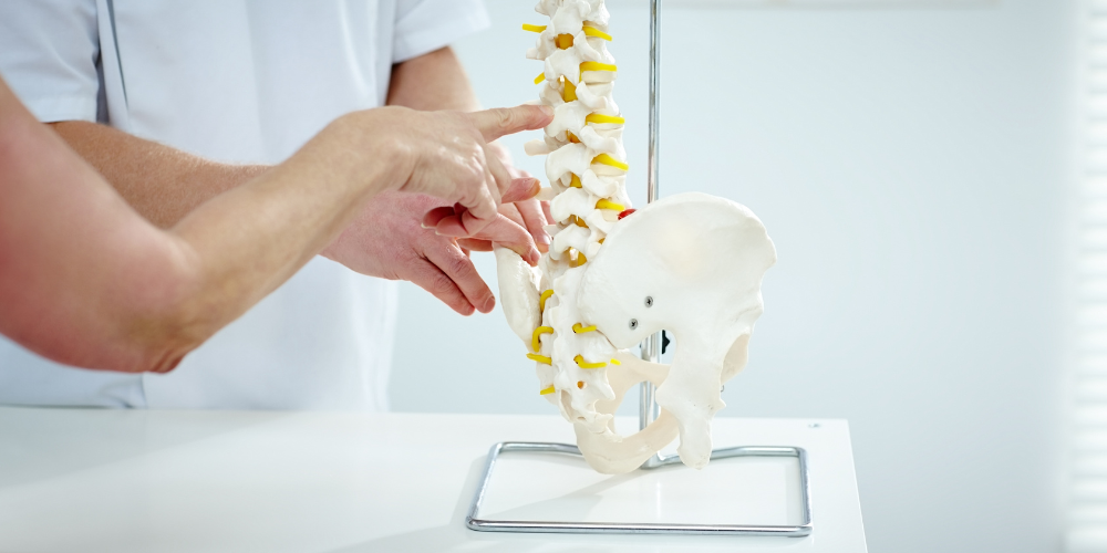 4 Reasons to See a Chiropractor Besides Back Pain